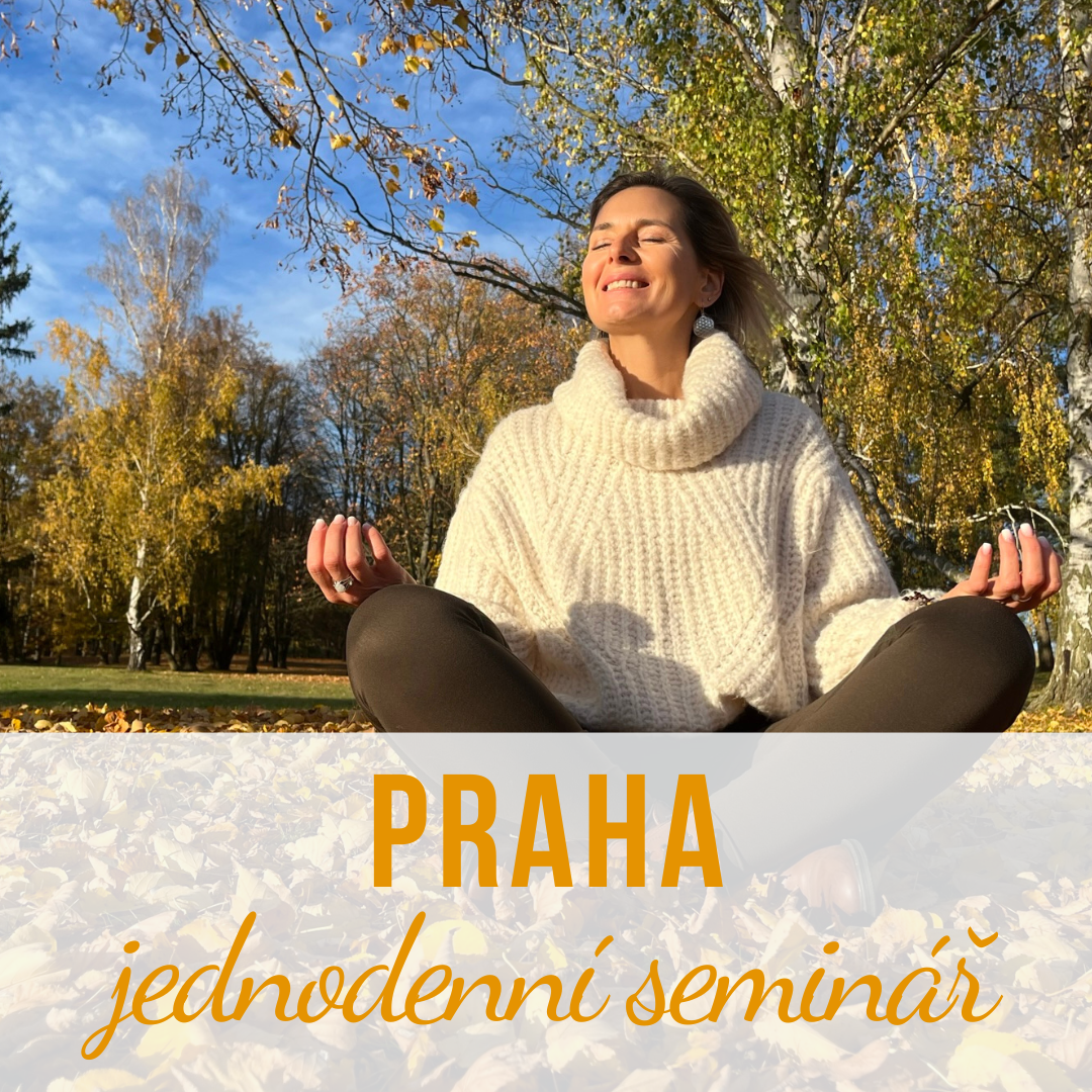 Seminář hormonální jógy - Praha 7